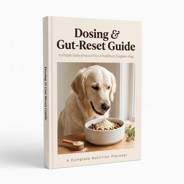 Dosing & Gut-Reset Guide