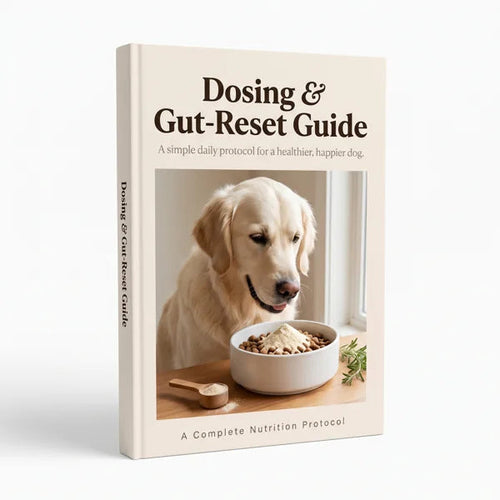 Dosing & Gut-Reset Guide